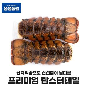 냉동랍스타 고씨네 자숙랍스터 랍스터 110g 꼬리