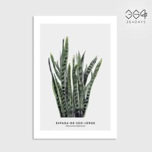 [텐바이텐] 산세베리아 그림 미니 포스터 엽서 카드 식물 인테리어 벽꾸미기