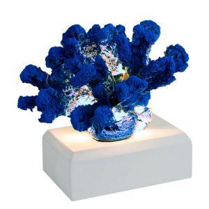 [오너클랜]인테리어 바다 코랄 산호초 무드등 블루