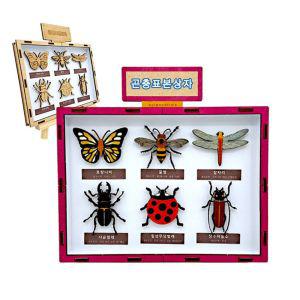 곤충 표본 상자 만들기학습용 브로마이드 제공키즈곤충표본상자 어린이곤