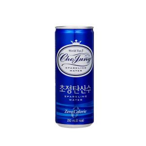 초정탄산수 플레인 250ml 30캔 2박스