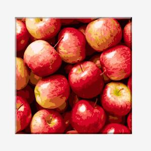 명화 그리기 F19 빨간 홍 사과 과일 금전수 그림 유화 물감2배 색칠