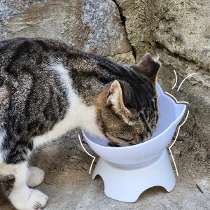 [르메이어] 나마스펫 쿠앤크 캣페이스 고양이 밥그릇 강아지 물그릇 애견 1구 13cm