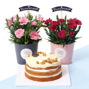 카네이션 화분세트 + 지지스 수제당근케익 꽃배송 선물