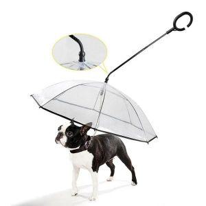 강아지우비 애완견 투명 우산 조절 가능한 C 타입 애완동물 제품 개 가죽 끈 비 산책용