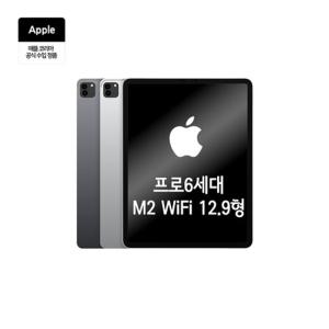 애플 아이패드 프로 12.9 6세대 M2 WIFI 128G 스그 / D.KN