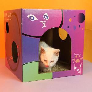 플라스틱박스 애완 동물 고양이 침대 집 보드 긁힘 방지 내마모성 다기능 이중층 골판지