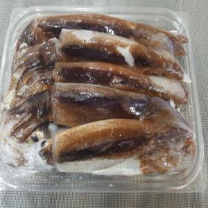 포항 오징어 총알 통찜 오징어 생물 1kg