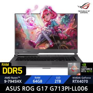 ASUS ROG G17 G713PI-LL006/RAM 64GB/SSD 2TB / +정품백팩_마우스증정