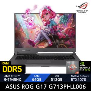 ASUS ROG G17 G713PI-LL006/RAM 64GB/Win11 /+정품백팩_마우스증정