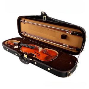 바이올린 방수 케이스 커버 가방 하드 보관함 수화물