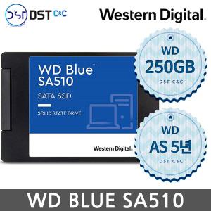 WD 공식판매원 WD Blue SSD 250GB SSD 신형 SA510 250GB