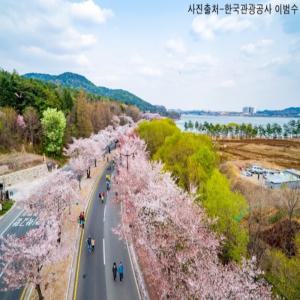 KTX-2박/호텔/금빛고운 경주+국가정원 울산+쪽빛바다 부산
