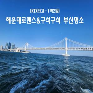 [KTX]해운대로맨스&구석구석 부산명소 -호텔(1박2일)