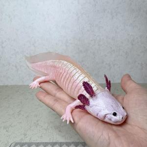 우파루파 모형 17cm 피규어 도롱뇽 파충류 귀여운