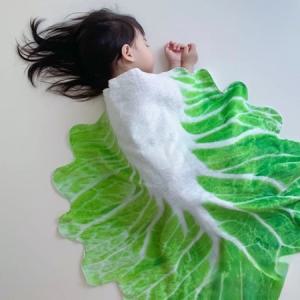 배추담요 이불 미니 특이한 담요 재미있는 귀여운 배추잎 인테리어 야채 채소 소품 선물_MC