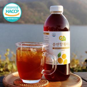 매실원액 매실액기스 3년 숙성 황매실청 1000ml x 1병