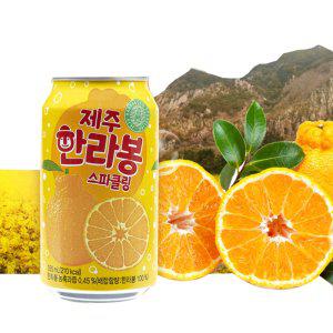 천지개벽 제주 한라봉 100% 스파클링 주스 355 24 can