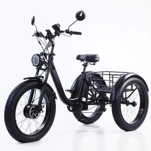 성인용 팻 타이어 전기 삼륜차, 스노우 마운틴 전기 카고 자전거, 3 륜 전기 자전거, 24 인치, 750W, 15AH
