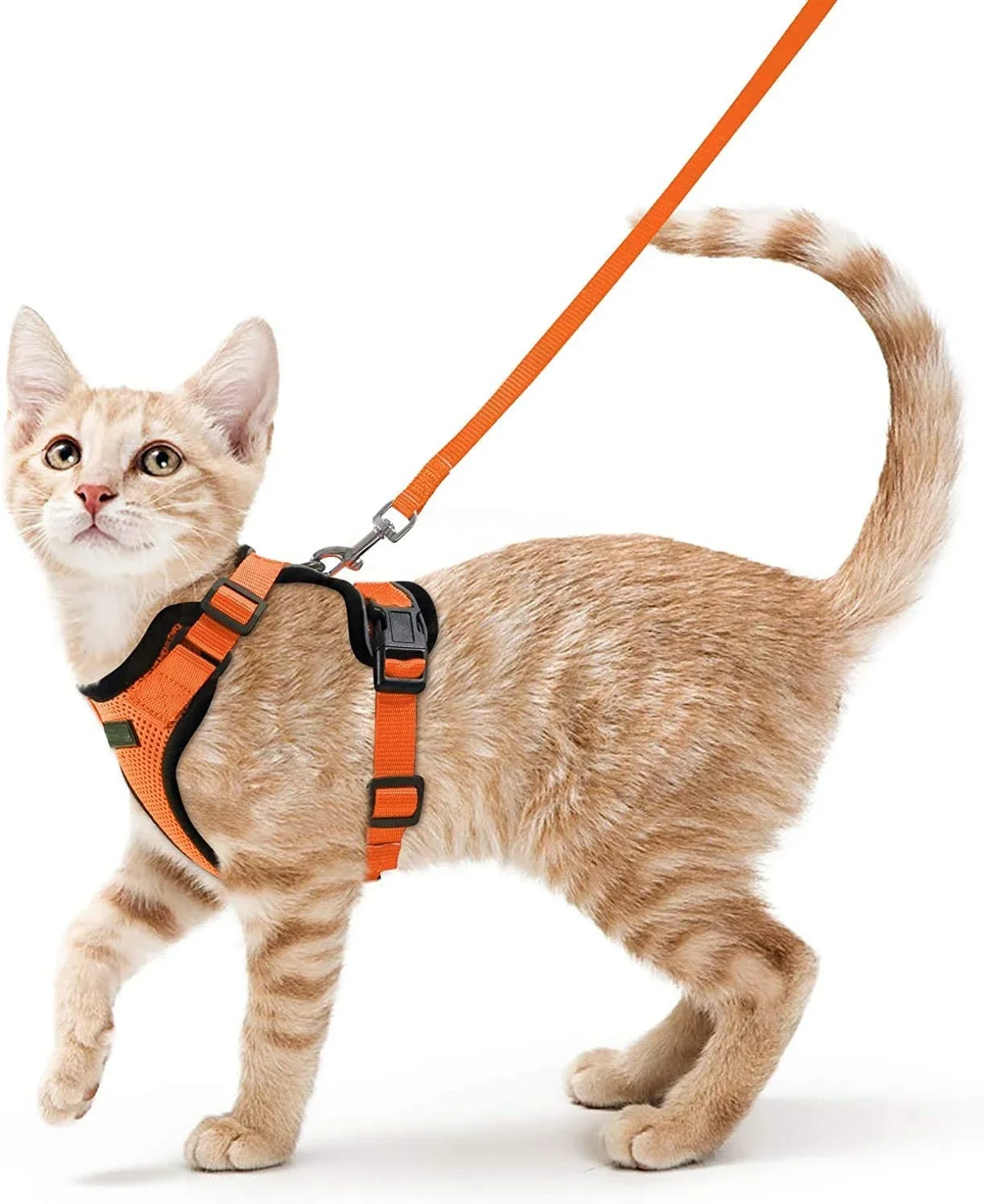 ATUBAN 걷기용 고양이 하네스 및 가죽 끈, 통기성 반사 스트립 재킷, 부드러운 고양이 조끼 하네스, 조절 가능