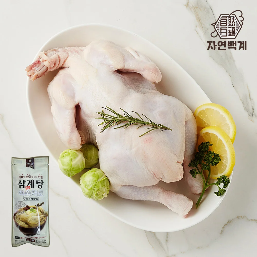 [백숙재료증정]국내산 냉장 삼계탕용 생닭 650g X 3마리