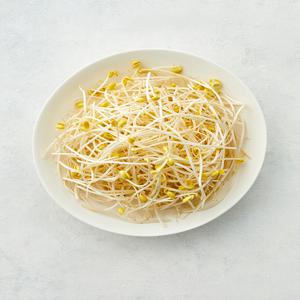 [KF365] 무농약 국산콩 콩나물 300g