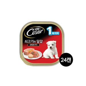 시저 1세이하 쇠고기와 달걀 100g 24캔/무료배송