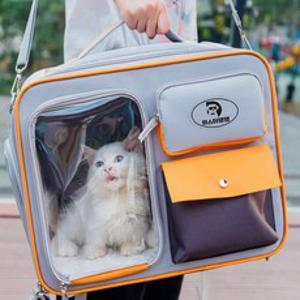 미스터댕댕 강아지 고양이 투명 백팩 이동 가방 우주선 슬링백 캐리어 특대형, 스페이스 그레이