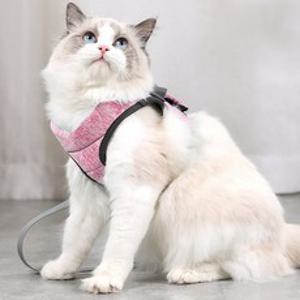 고양이하네스 고양이목줄 고양이 전용 산책줄 가슴줄, 1개, Pink