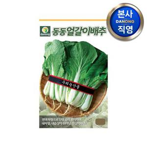 동동얼갈이 배추 씨앗 20g . 야채 쌈 채소 텃밭 주말 농장 겉절이 씨 종자