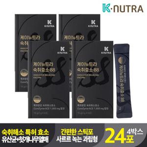 케이뉴트라 숙취효소 4박스 (총 24포) 숙취해소제 알코올분해 음