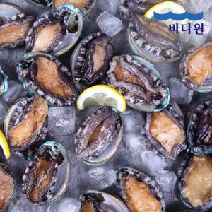 바다원 산지직송 완도 활전복 1kg 12-13미 (왕특대) 산소포장