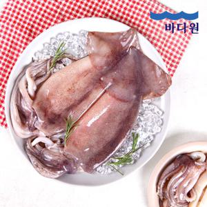 [바다원] 손질통오징어 400g x 10팩 (총4kg 20마리)