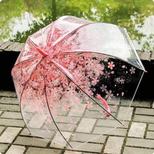 은창)체리 블러썸 우산 장우산 비닐 투명 단체 여성[W8714C5]