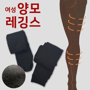 [XB1580L3]양모 여성레깅스 유발 무발 스타킹 빅사이즈