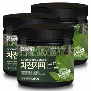 조은약초 프리미엄 인도산 차전자피 분말 250g x 3통구성 (총 750g)