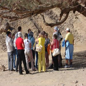 마르사 알람(Marsa Alam)에서 모래 버기와 낙타 타기가 포함된 슈퍼 4x4 사파리