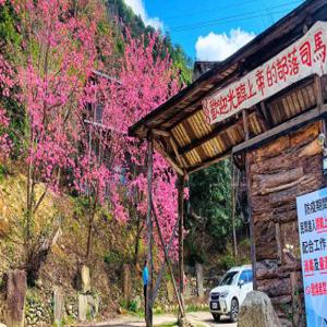 신주 1박 2일 숙박 포함 | 시마쿠스, 진시바오 신광부족, 개구리바위 스카이워크 | 타이페이/신주 출발