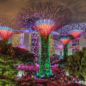 싱가포르의 밤을 제대로 즐기는 야경 워킹 투어