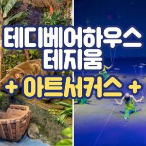 [제주] 테디베어하우스 테지움+아트서커스