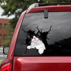 1pc 귀여운 고양이 자동차 스티커, 재미있는 동물 방수 비닐 스티커, 벽, 차창, 트럭, 범퍼, 냉장고, 노트북에 적합합니다