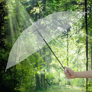 투명한 우산 1개, 우아한 곡선 핸들과 직선 폴 우산