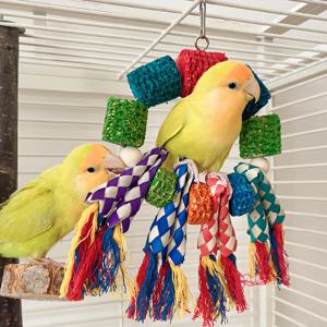 TEMU 다채로운 앵무새 씹는 장난감 - 옥수수 속대가 있는 땋은 스트립, 매달린 새장 장식, 등반 스윙 링, 다색, 물림에 강한 재질의 새 장난감
