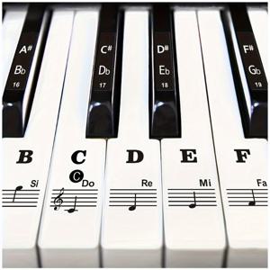 TEMU 피아노 키보드 스티커로 음표 학습하기 - 탈착 가능한 굵고 큰 글자 라벨 88/61/54/49/37개 키에 이상적인 초보자용