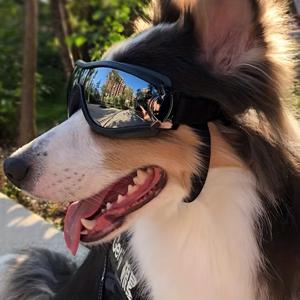 TEMU 조절 가능한 스트랩이 있는 개 선글라스, 자외선 방지용 개 고글, 바람 방지, 먼지 방지, 김서림 방지 애완 동물 안경, 눈 보호, 중대형 개에 적합