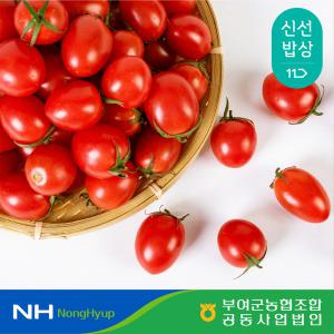 [부여군농협] 굿뜨래 대추방울토마토 2kg 1-3번과 중대과