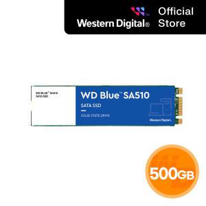 [WD공식] WD BLUE SA510 M.2 2280 SSD 500GB