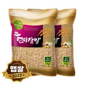 국산 현미찹쌀 찰현미 10kg (5kgX2봉)