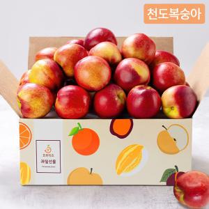 [프루미츠] 노란속살의 달콤함가득 천도 복숭아 1.6kg (특품/14~16과) 원산지 : 국내산:경상북도:영천시