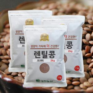 슈퍼푸드 브라운 렌틸콩 6kg(2kgx3) 렌즈콩 잡곡